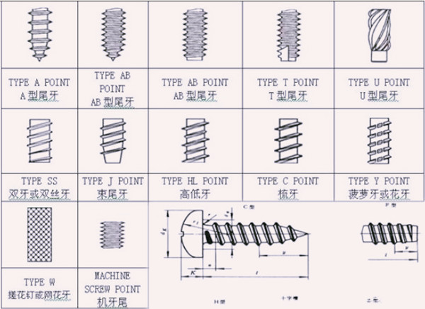 自攻螺釘?shù)穆菁y種類